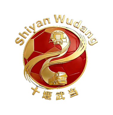 楚超十堰队标志